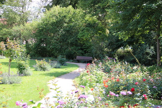 bench in the garden
Weg mit Bank im Park / Garten