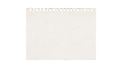 A piece of white spiral notebook paper with a torn edge