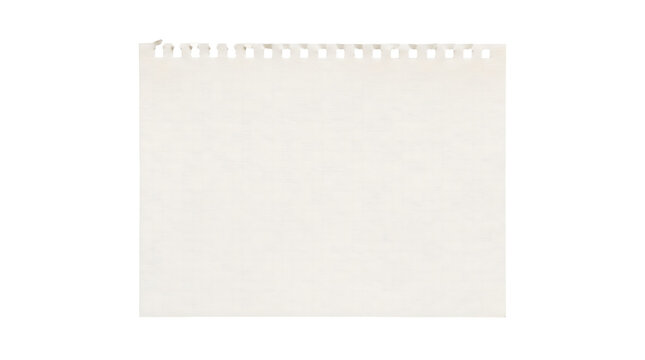 A piece of white spiral notebook paper with a torn edge