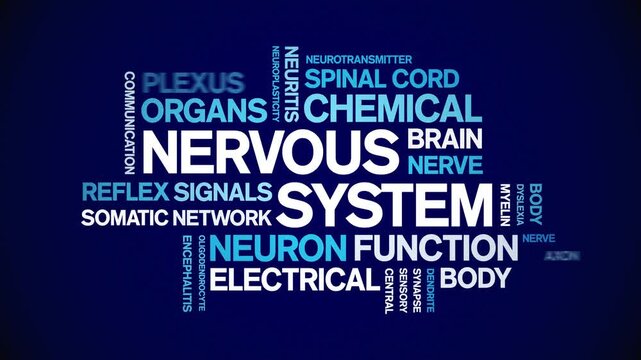 Nervous System animated word cloud-text design animation tag kinetic typography seamless loop.
