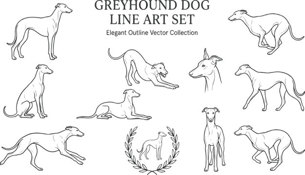 Adobe Illustrator Artwork Elegant Greyhound Dog Line Art and Minimalist Vector Illustration Set
