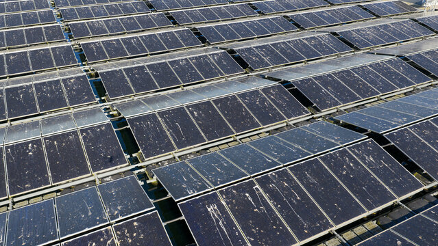 Aerial view of Sekdoornse Plas floating solar farm with rows of dark photovoltaic panels covered in bird droppings on the water surface in Zwolle, Overijssel, Netherlands.