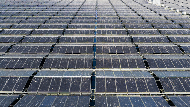 Aerial view of the floating solar panels at Sekdoornse Plas with geometric rows of photovoltaic modules on the water in Zwolle, Overijssel, Netherlands.