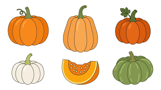 Assorted vibrant pumpkins and a fresh slice displaying different shapes and colors isolated on a clean white background for design