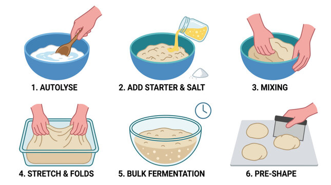This clear instructional illustration shows a six-step process for making delicious homemade sourdough bread from scratch, perfect for baking enthusiasts.