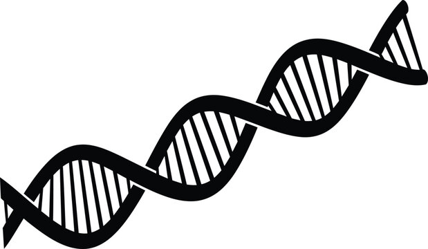 Dna double helix illustration black and white sketch