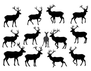 Fototapeta premium A group of deer silhouettes in various poses
