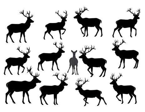A group of deer silhouettes in various poses