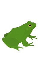 Fototapeta premium A vibrant green cartoon frog with a large eye sits on a plain white background