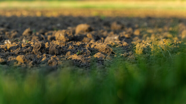 Close-up of freshly tilled soil with golden hour sunlight illuminating the earth