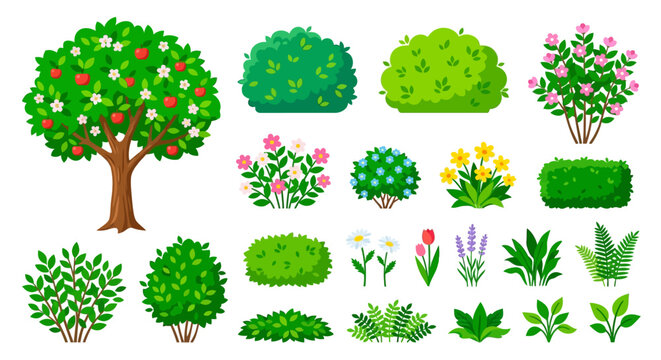 Collection of cartoon trees bushes and flowers on a white background