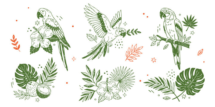 Whimsical tropical doodle vector mini scenes set with hand drawn parrot, palm leaves, monstera, hibiscus flowers, coconut and summer botanical compositions in minimal flat style