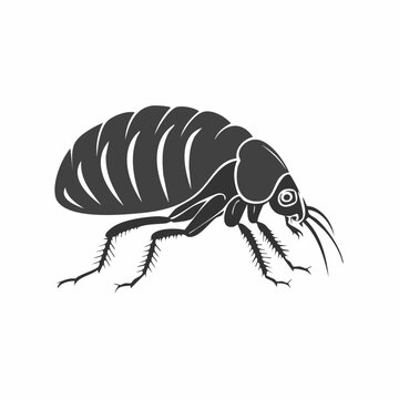 Stylized Flea Icon