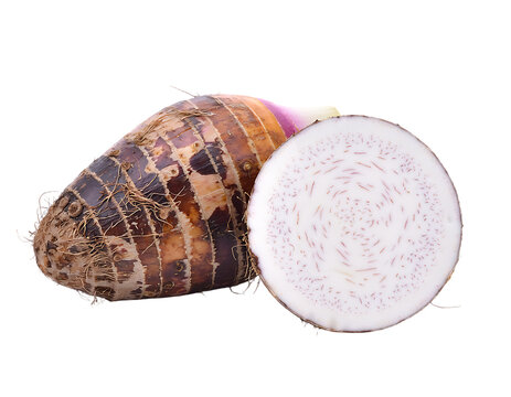 Fresh Taro Root with a CrossSectional View Isolatedon a Transparent Background PNG	