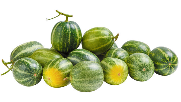 Green striped melons with stems arranged in a row