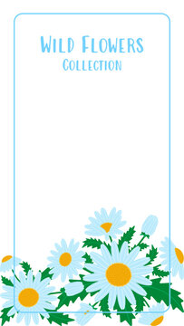 Wild chamomile flowers vertical template. Botanical daisy floral frame for mobile phone wallpaper or a journal cover with copy space. Summer meadow nature graphic. Flat-style vector work.