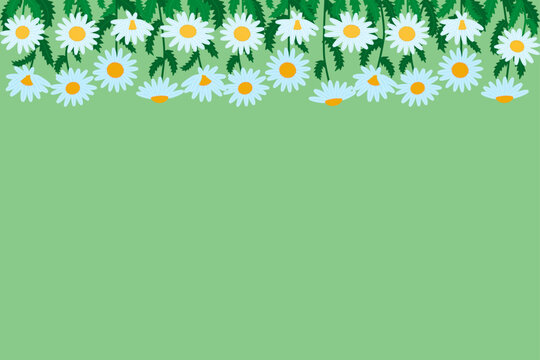 Wild chamomile floral header template. Botanical daisy hanging flowers border for a web banner or a nature-themed social media background with a copy space. Summer meadow graphic. Flat style vector.
