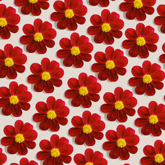 Obraz premium Minimal styled concept. Red dahlia flowers on beige background. Creative lifestyle, summer, spring concept. Festive Flat lay, top view aesthetic floral arrangement,texture wallpaper or backdrop