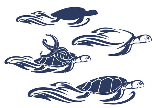sea turtle, star fish and water wave splash - tropical underwater life endangered species blue and white vector outline design set