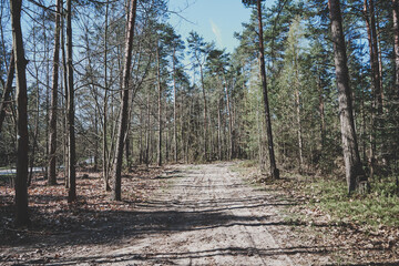 leśna droga ,wiosna  © Marcin Łazarczyk