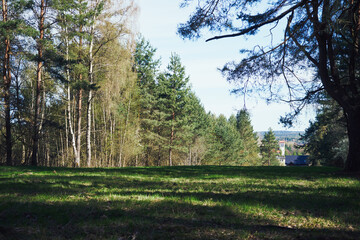 polana,wiosna  © Marcin Łazarczyk