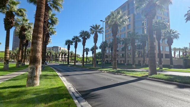 Palm lined urban street in sunny Las Vegas with modern office buildings, clean boulevard, green lawns and tall trees creating a bright city travel scene