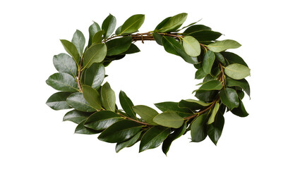 Green Laurel Wreath Crafted from Bay Leaves and Twigs © Michal