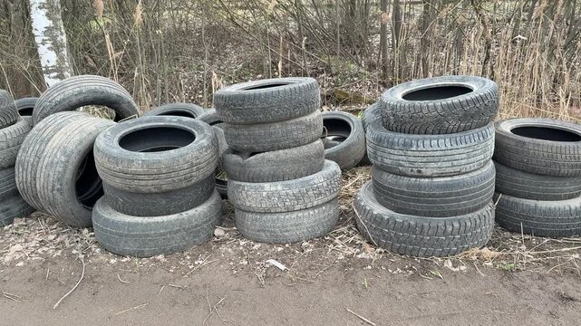 Stacked worn tires in woodland clearing, weathered passenger car tires covered in leaf litter, spring buds on trees, damp soil.