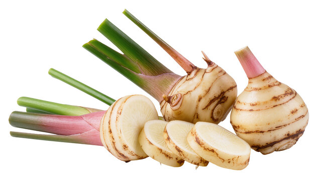 Fresh Galangal Root with Green Stems and Sliced Pieces