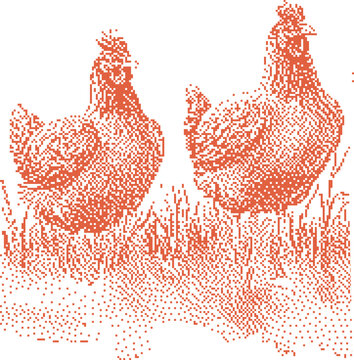 Two hens standing in grass with a rustic dotted texture and warm orange hue