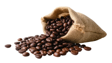 Fototapeta premium Brown Coffee Beans Spilling from Rough Hessian Sack