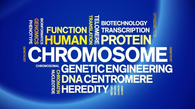 Chromosome animated word cloud-text design animation tag kinetic typography seamless loop.