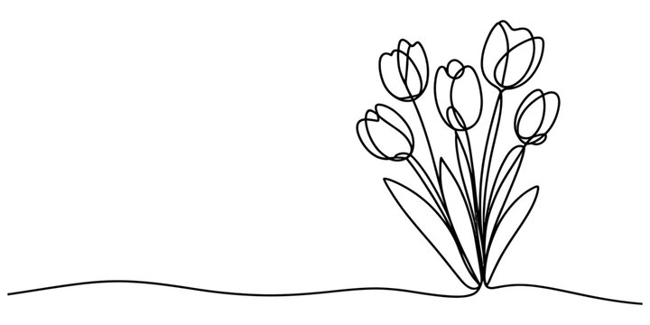 Continuous single line drawing of a beautiful bouquet of tulip flowers with green leaves in a simple minimalist art style Vector, illustration