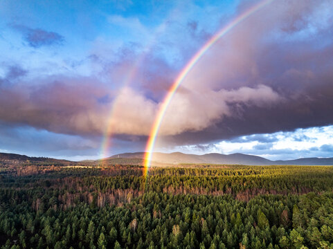 Aerial view of Cairngorms National Park with a vibrant double rainbow over a dense evergreen forest and distant mountains under a dramatic sky in Scotland, United Kingdom.