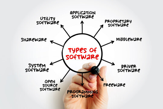 TYPES OF SOFTWARE diagram with application, system, driver, utility, middleware, open source, and shareware. Person drawing computer technology classification flow chart