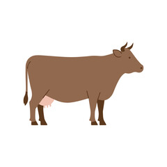 Fototapeta premium Flat vector illustration of a brown dairy cow standing sideways with visible udder, isolated background in a simple minimalist cartoon style