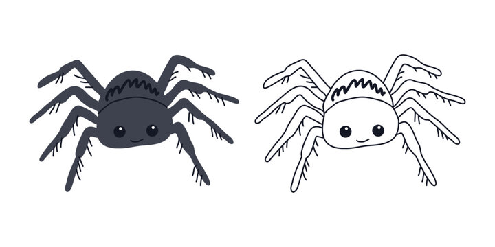 Tarantula Spider Vector. Cartoon Black Spider Character with Outline Linear Style. Isolated on Background