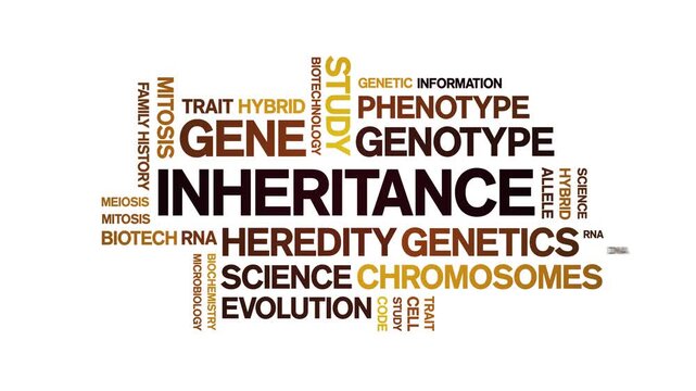 inheritance animated word cloud-text design animation tag kinetic typography seamless loop.