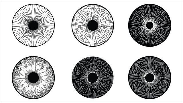  Abstract Human Iris Pattern Collection