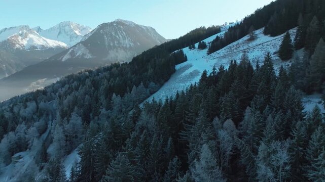 Frosted pine trees lining a snow-covered slope with majestic mountain backdrop. Suitable for winter sports promotions or scenic travel content.