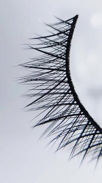 False eyelashes isolated on white background with light moving along the lash fibers, highlighting shine and fine texture, suitable for elegant beauty themes and eye makeup advertising.