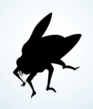 Vector drawing. Dogfly. One of the Plagues of Egypt.
