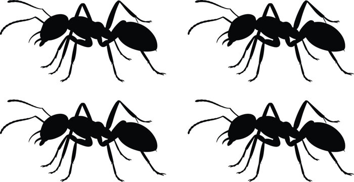 Detailed black ant silhouettes in symmetrical grid pattern, isolated insect icons for education, science, nature, and design use