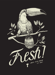 Obraz premium Vintage toucan sitting on a branch fresh t-shirt print vector illustration white on black