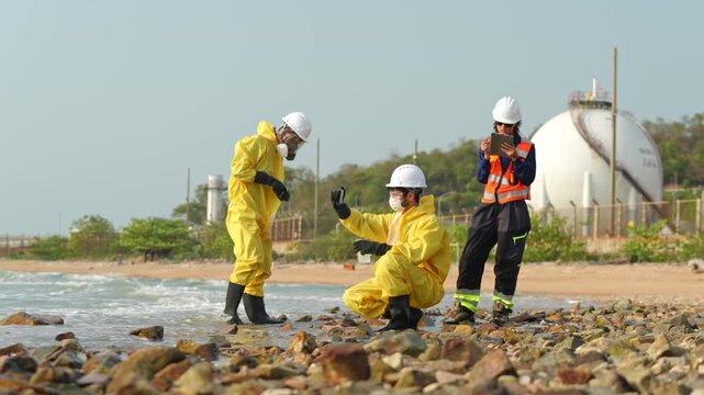 Environmental cleanup efforts coastal area photography marine environment ground view conservation awareness