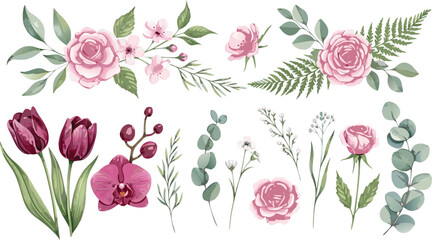 Watercolor floral vector collection featuring roses, tulips, eucalyptus and delicate botanical elements in soft pastel style for wedding and design projects © Sumon Creative