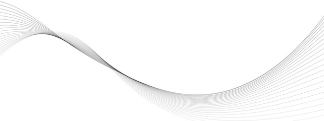 Fototapeta premium Minimalist black flowing wavy lines background on white for corporate design.