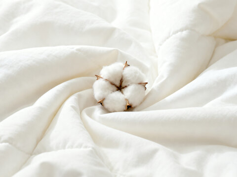 Close up of cotton bolls on white bedding soft textile minimal aesthetic