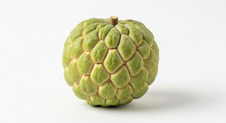 Fototapeta premium Fresh Cherimoya Fruit with Textured, Green Skin, Showcasing Its Unique Scale-like Appearance on A Clean White Concept Delicious Food