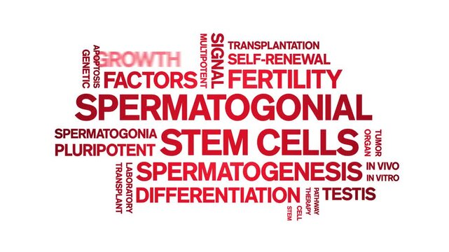 Spermatogonial Stem Cells animated word cloud-gross domestic product animation tag kinetic typography seamless loop.